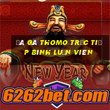 đá gà thomo trực tiếp bình luận viên