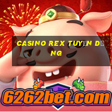 casino rex tuyển dụng