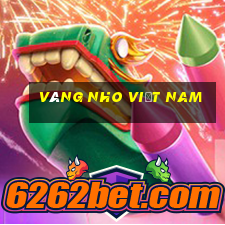 Vàng nho Việt nam