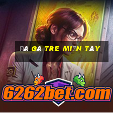 đá gà tre miền tây