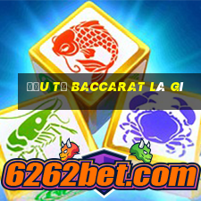 đầu từ baccarat là gì