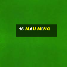 16 màu mạng