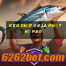 kèo chấp 1 4 là như thế nào