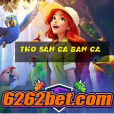 tho san ca ban ca