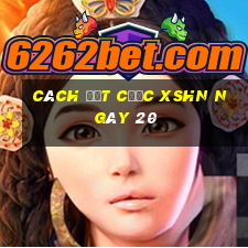 Cách đặt cược XSHN ngày 20