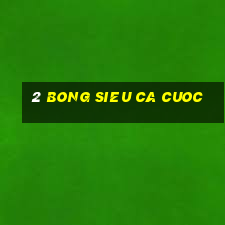 2 bong sieu ca cuoc