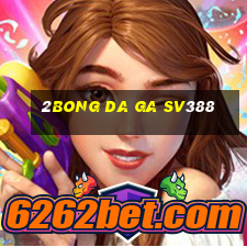 2bong da ga sv388