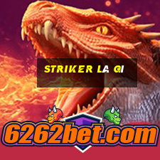 striker là gì