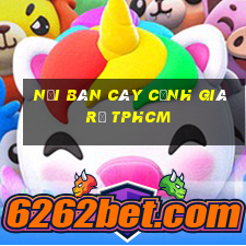 nơi bán cây cảnh giá rẻ tphcm