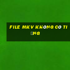 file mkv không có tiếng