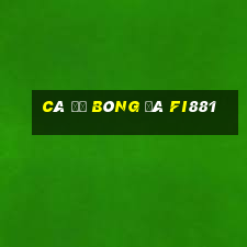 cá độ bóng đá fi881