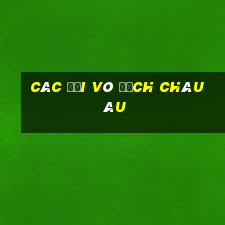 các đội vô địch châu âu