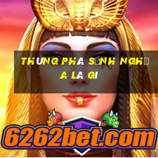 thùng phá sảnh nghĩa là gì