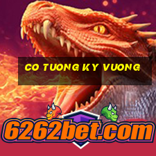 co tuong ky vuong