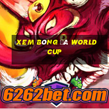 xem bóng đá world cup