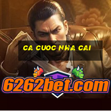 ca cuoc nha cai