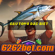 cau tong dac biet