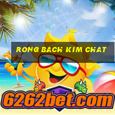 rong bach kim chat