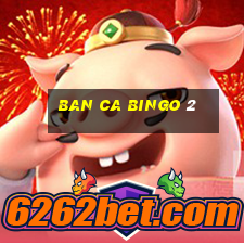 ban ca bingo 2