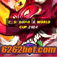 tỷ số bóng đá world cup 2024