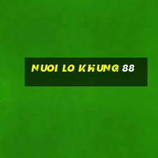 nuoi lo khung 88