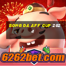 bong da aff cup 2024