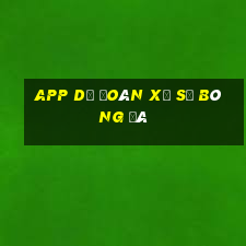 APP dự đoán xổ số bóng đá