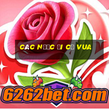 các nước đi cờ vua