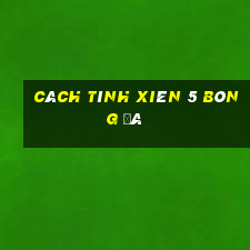 Cách tính xiên 5 bóng đá