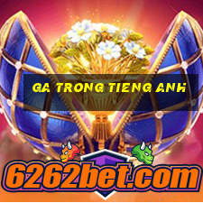 ga trong tieng anh