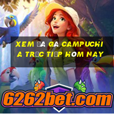 xem đá gà campuchia trực tiếp hôm nay