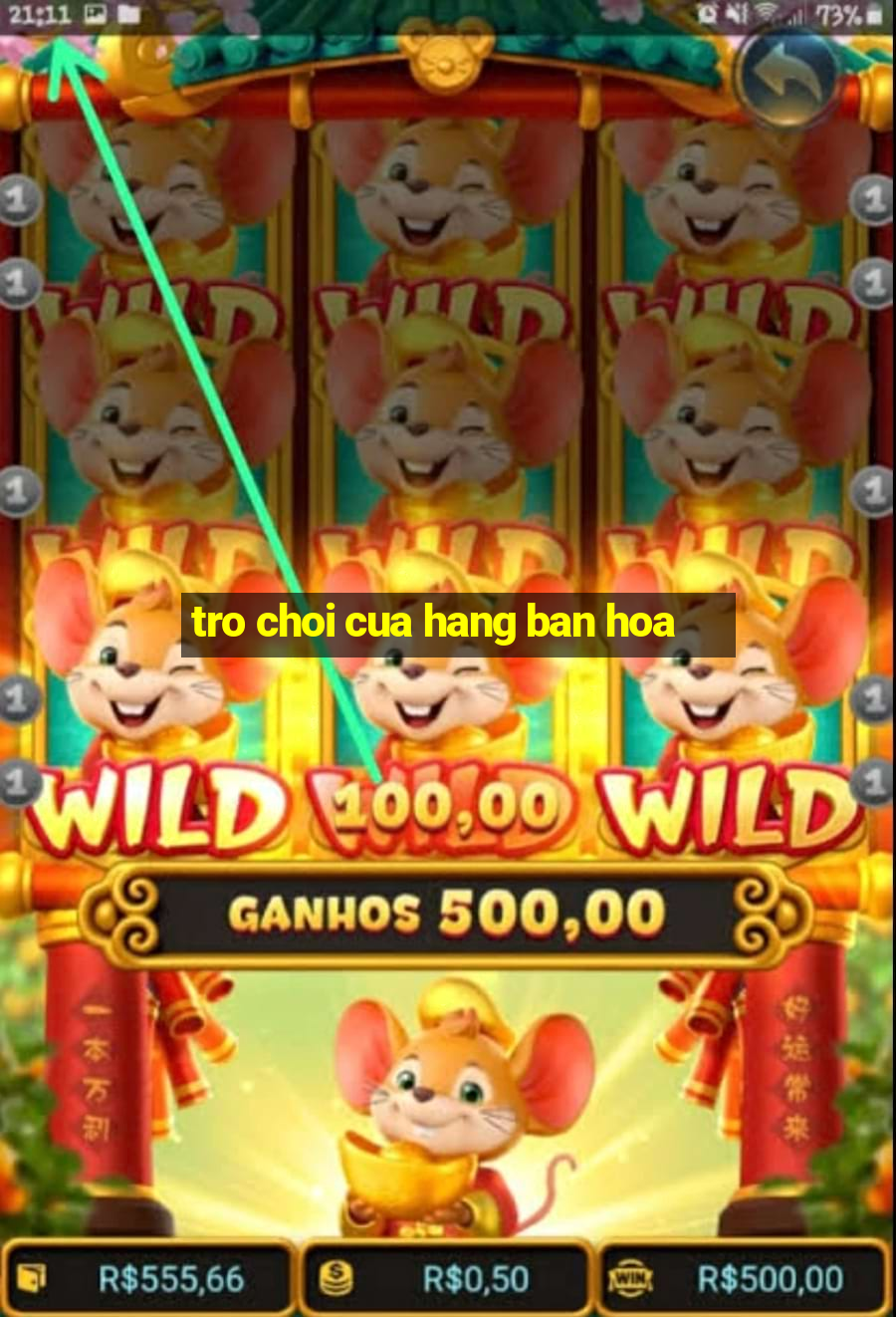 tro choi cua hang ban hoa