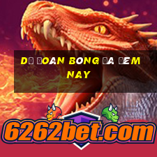 dự đoán bóng đá đêm nay