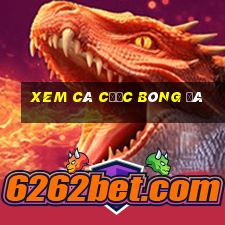 xem cá cược bóng đá