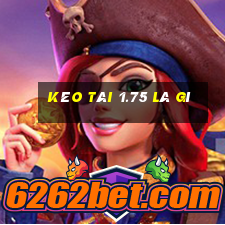 kèo tài 1.75 là gì