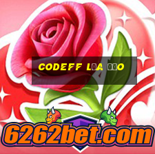 Codeff Lừa Đảo