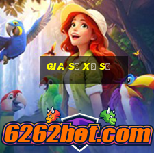 Gia sư xổ số