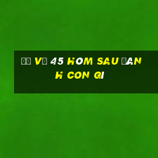 đề về 45 hôm sau đánh con gì