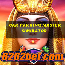 car pakring master simulator