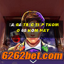 đá gà trực tiếp thomo 68 hôm nay