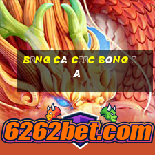 bảng cá cược bóng đá