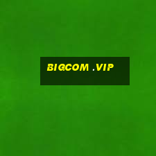 bigcom .vip