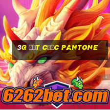 3g đặt cược Pantone