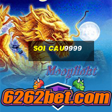 soi cau9999