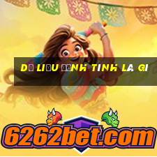 dữ liệu định tính là gì