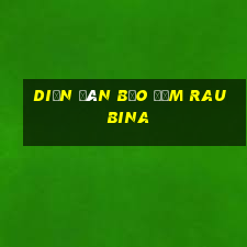 Diễn đàn bảo đảm rau bina