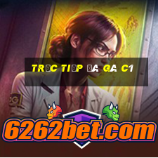 trực tiếp đá gà c1