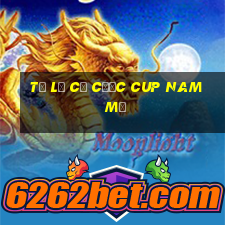 Tỷ lệ cả cược Cup Nam Mỹ