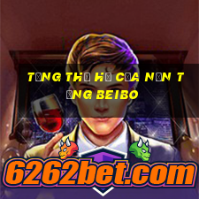 Tổng thế hệ của nền tảng Beibo