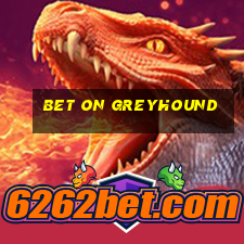 bet on greyhound